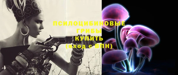 мяу мяу мука Чита