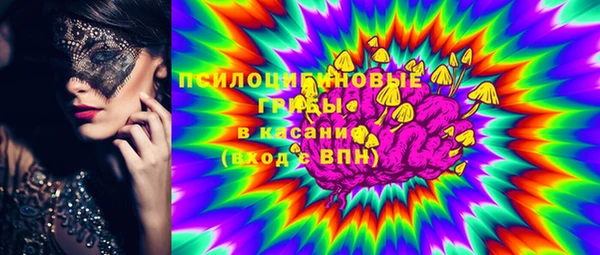трава Лабытнанги
