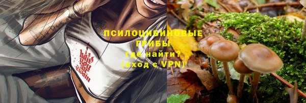 мдма Лагань