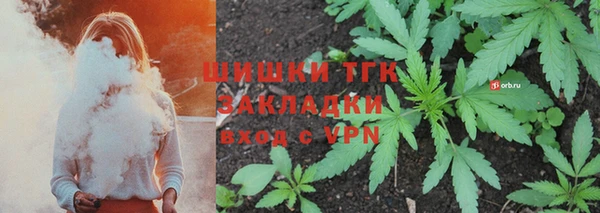 трава Лабытнанги